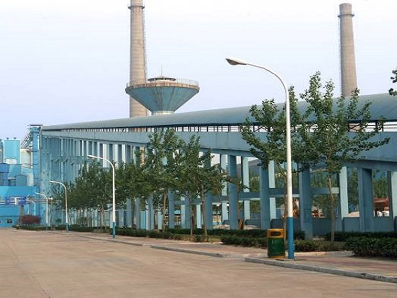 Company (3)